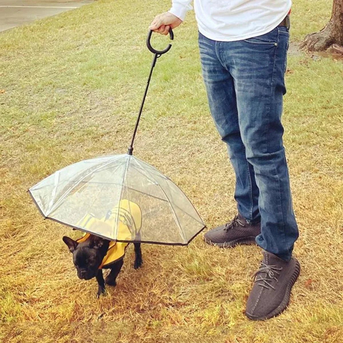 Dog Umbrella - PetAndCamping