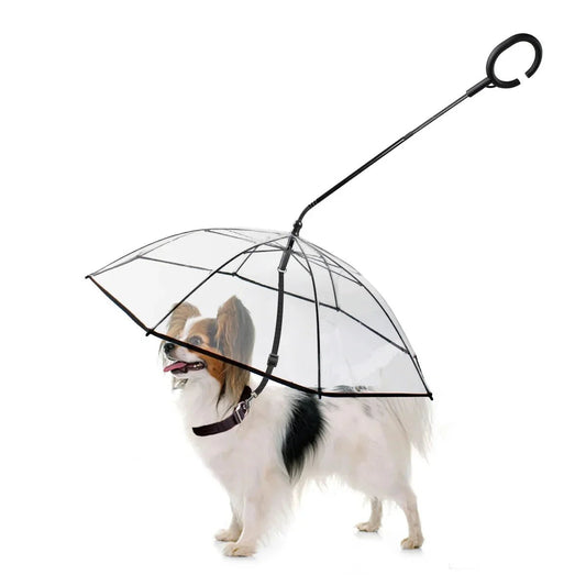 Dog Umbrella - PetAndCamping